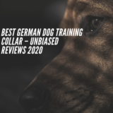 Best German Dog Training Collar – Unbiased Reviews 2021