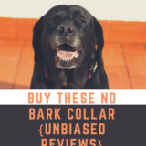 Buy These No bark collar – {Unbiased Reviews}