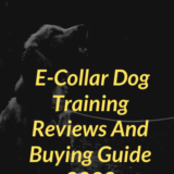 Top 7 ECollar Dog Training Reviews And Buying Guide 2021