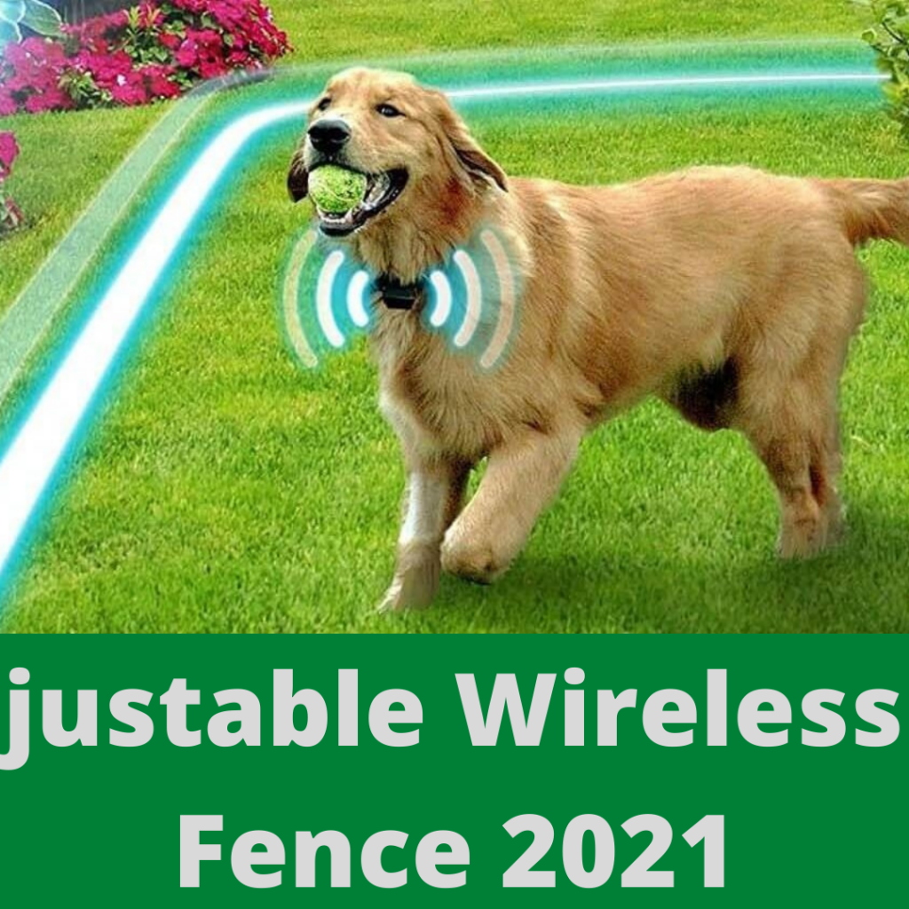 Best Adjustable Wireless Dog Fence